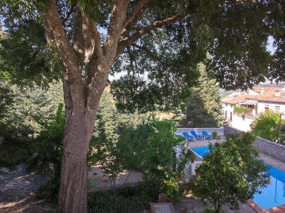 Вілла Casa Pomar - Preciosa Casa Con Piscina Y Vistas A La Sierra Грасалема Екстер'єр фото